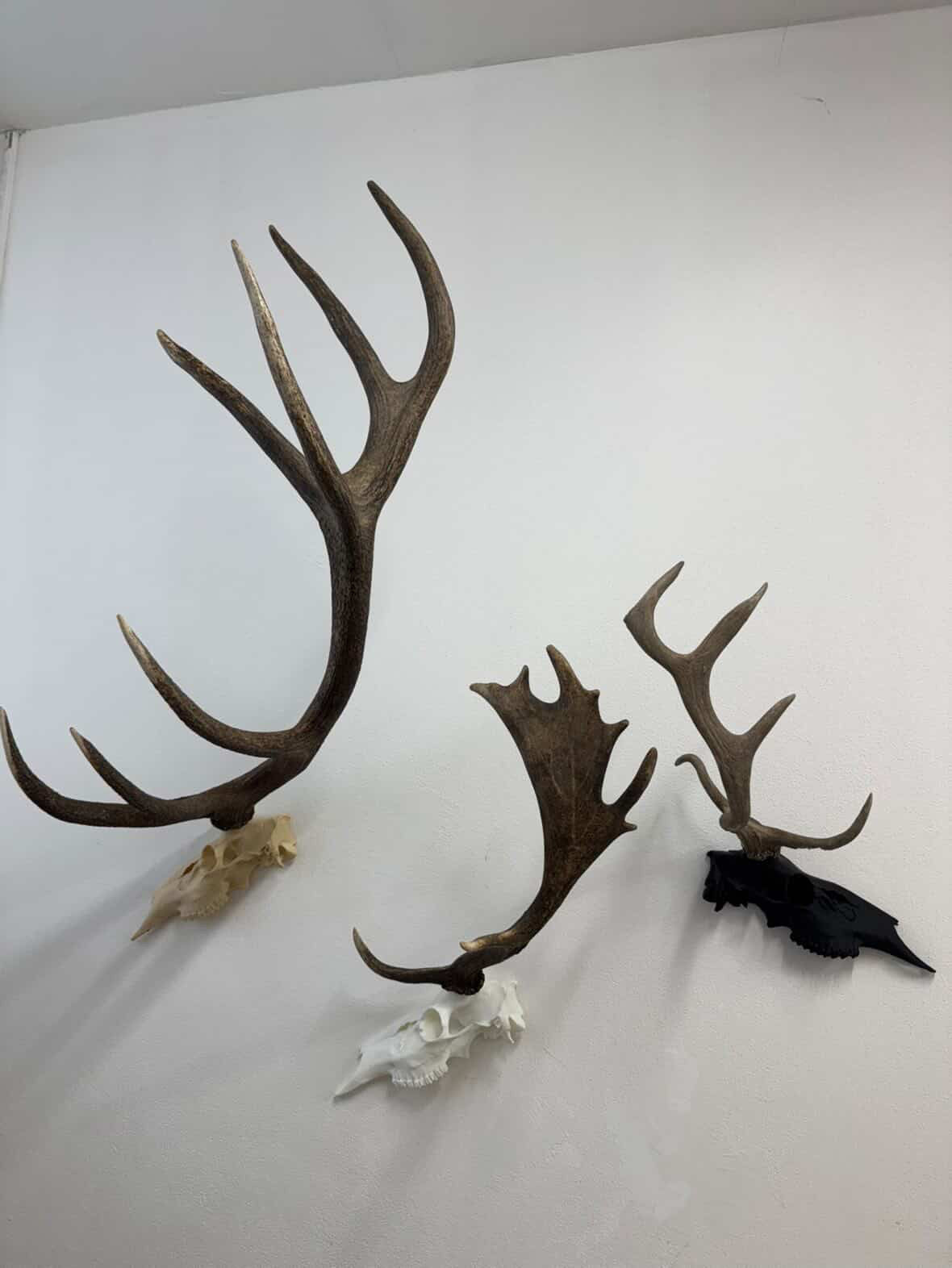 A5320ED5-1C83-4EEE-8E62-A475F767ECE5